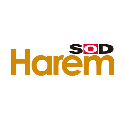 SOD Harem Studio
