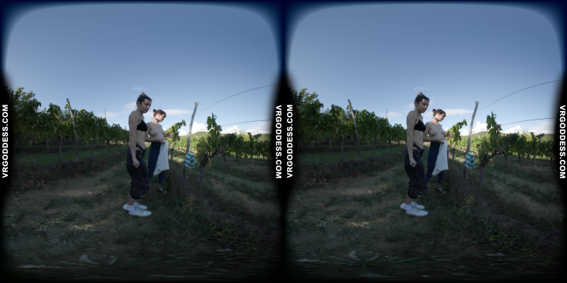 Josie And Sofie On Vacation In Italy Naked In Wine Vineyard During Harvest Time - Image 1